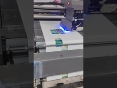 Sturdy Industrial Printing Machine Manufacturers Stampa UV a scala di grigio