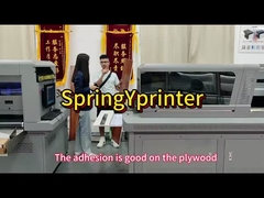 Nozzolo multifunzione 1300kg Rich G5/G6 con stampante UV a luce LED