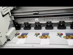 Stampa DTF T-shirt con modalità velocità 4 mq/h e software opzionale per la stampa fotografica