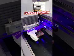 Stampante UV a passaggio singolo con alimentazione AC 220V/50Hz/60Hz e testina Ricoh Gen 5i